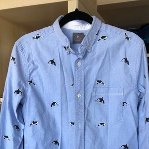 Killer whale oxford